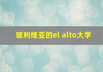 玻利维亚的el alto大学